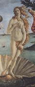 Sandro Botticelli The Birth of Venus (mk36) oil on canvas